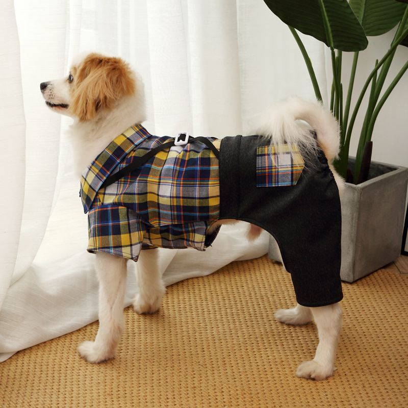 Male dog clothes sale