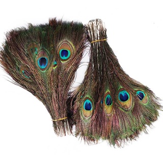 10pcs Simulated Peacock Feathers, Diy Earrings, Decoration