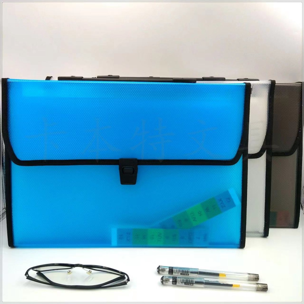 File Bag Accordion Expanding File Folder Long Document Organizer