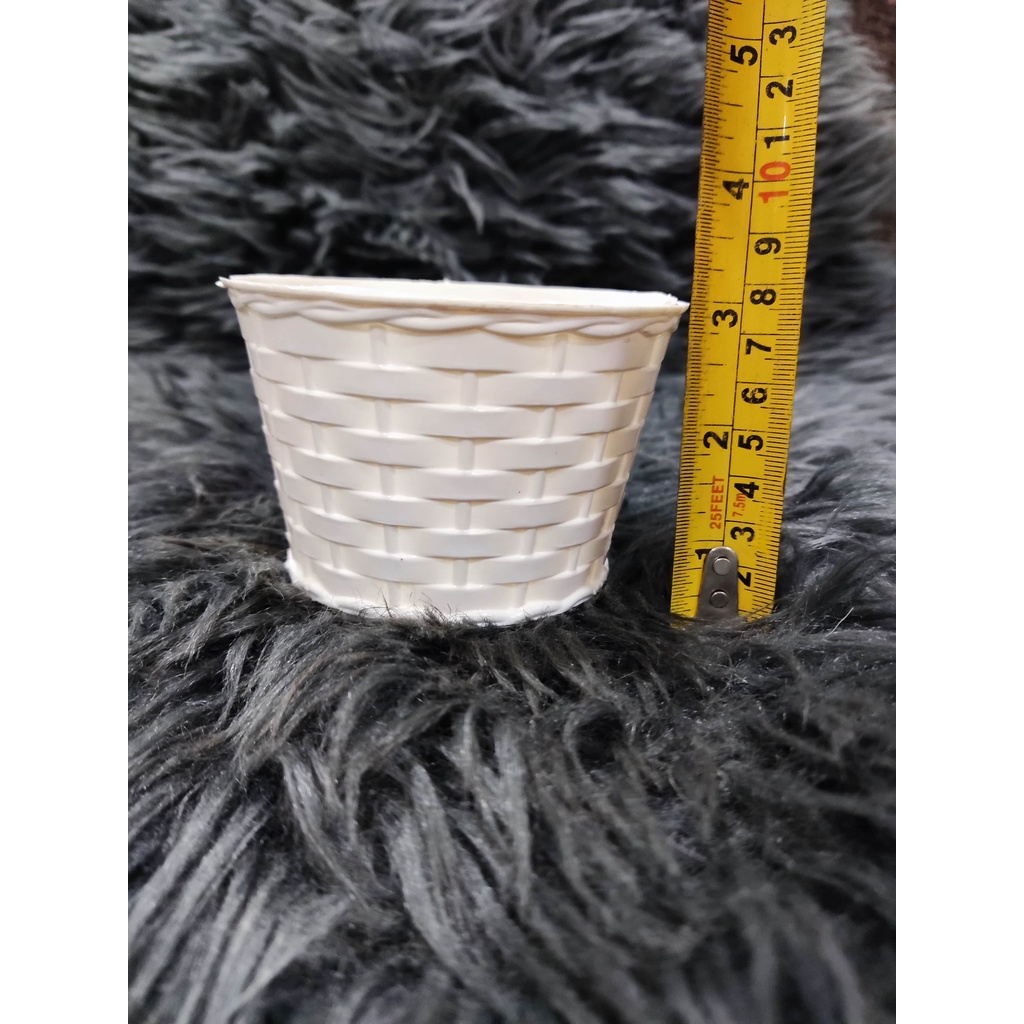 TGH Small Rattan Pot design for plants, pots for cactus and succulents ...