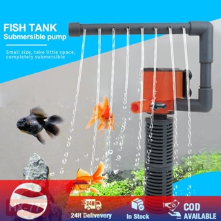 Mini Aquariums: The Pros & Cons of Small Fish Tanks