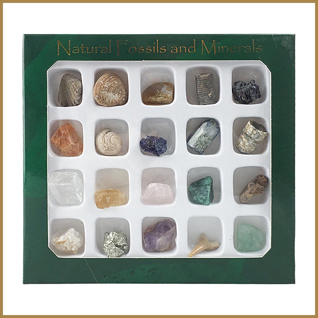 Mineral Identification Kit Rocks And Minerals 20 Pcs Mineral Specimen Geosciences Industries