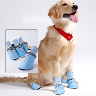 Dog best sale side shoes