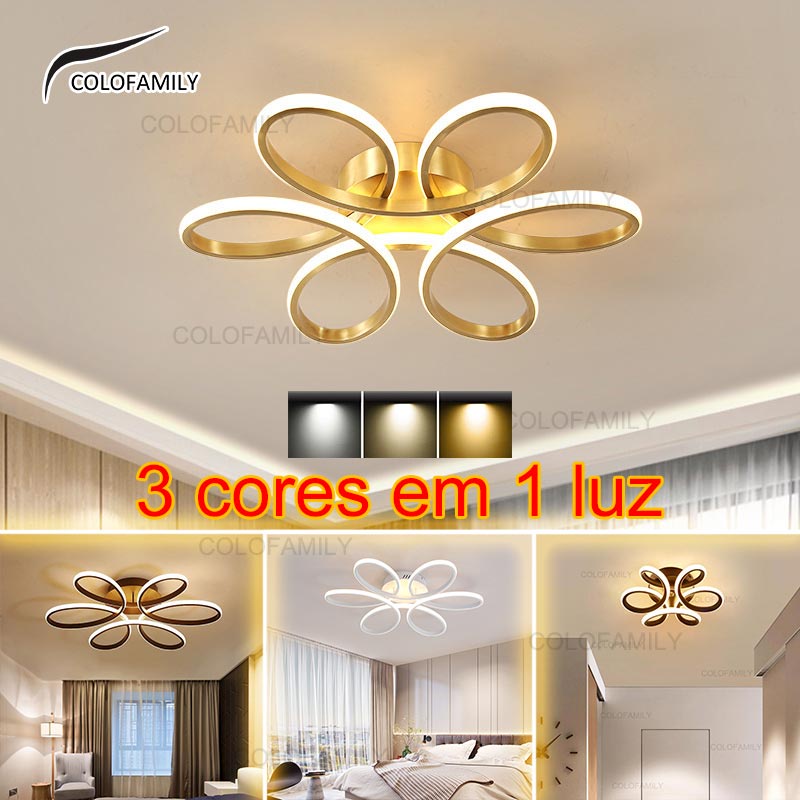 3 Colors Ceiling Lights LED Decorative Lights Home Living Room