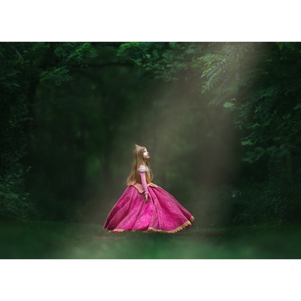 Girls Sleeping Beauty Aurora Princess Dress Long Sleeves Lace Robe Kids ...