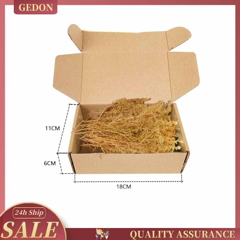 [Gedon] Miniature Trees Fake Trees 1/35 1/48 1/72 1/87 Decoration Train ...