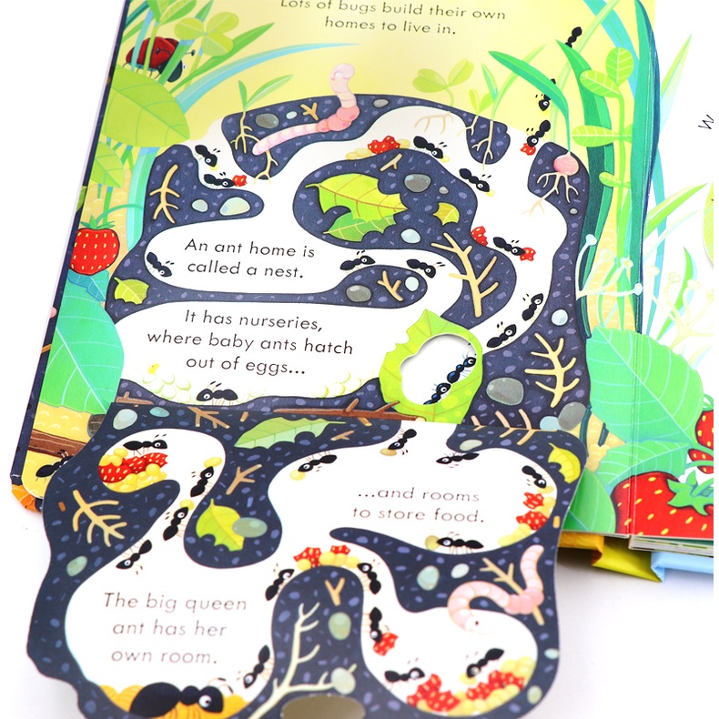 Usborne Peep Inside Bug Homes Insect Science Popularization Natural ...