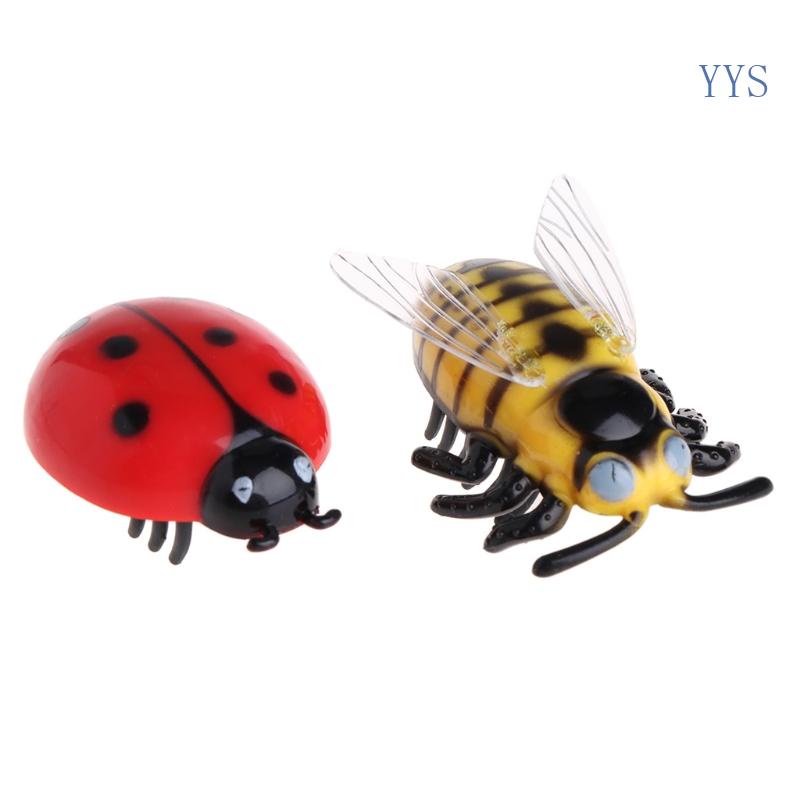 YYS for Cat Toys Teaser Interactive Toys Mini Electronic Insect Toys Beetle Cicada T Shopee