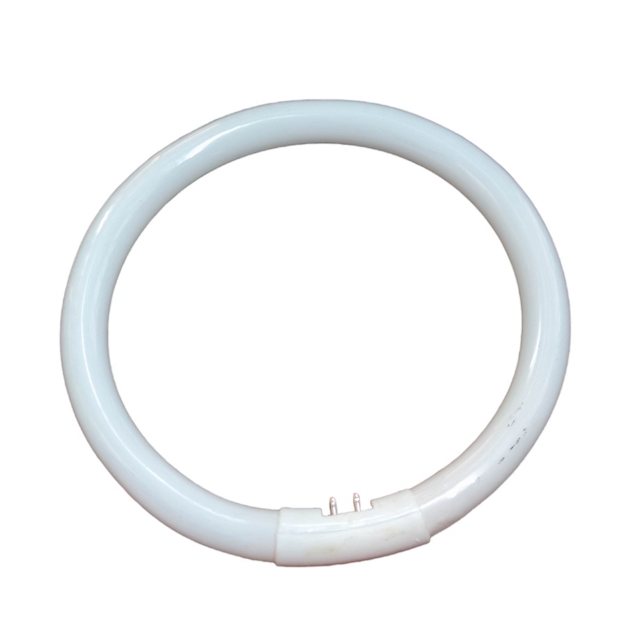 Biglite 22W T5 Circular Fluorescent Tube Available in Daylight and