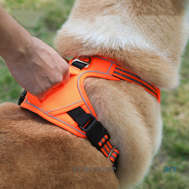 thumbnail image 2 of No Pull Dog Harness And Leash Set Soft, Adjustable Reflective 2 of 14
