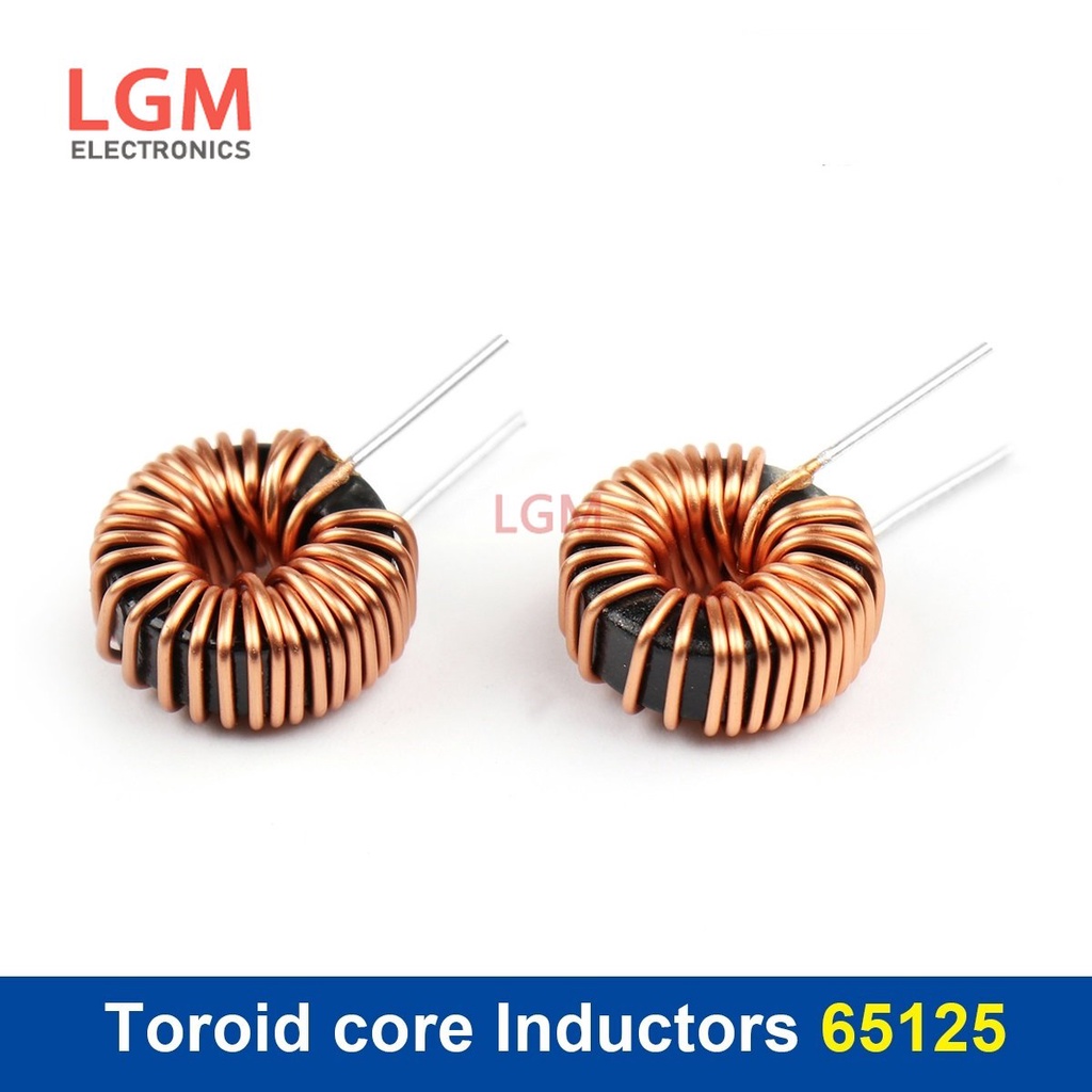 Toroid Core Inductors 65125 Winding Magnetic Inductance 10uh 22uh 33uh