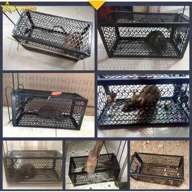Rat Catch Medium Size 24*12*12 Mouse Trap | Shopee Philippines