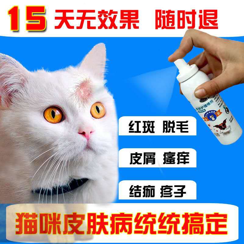 Cat ringworm treatment spray cat Moss cat skin disease fungus tinea ...