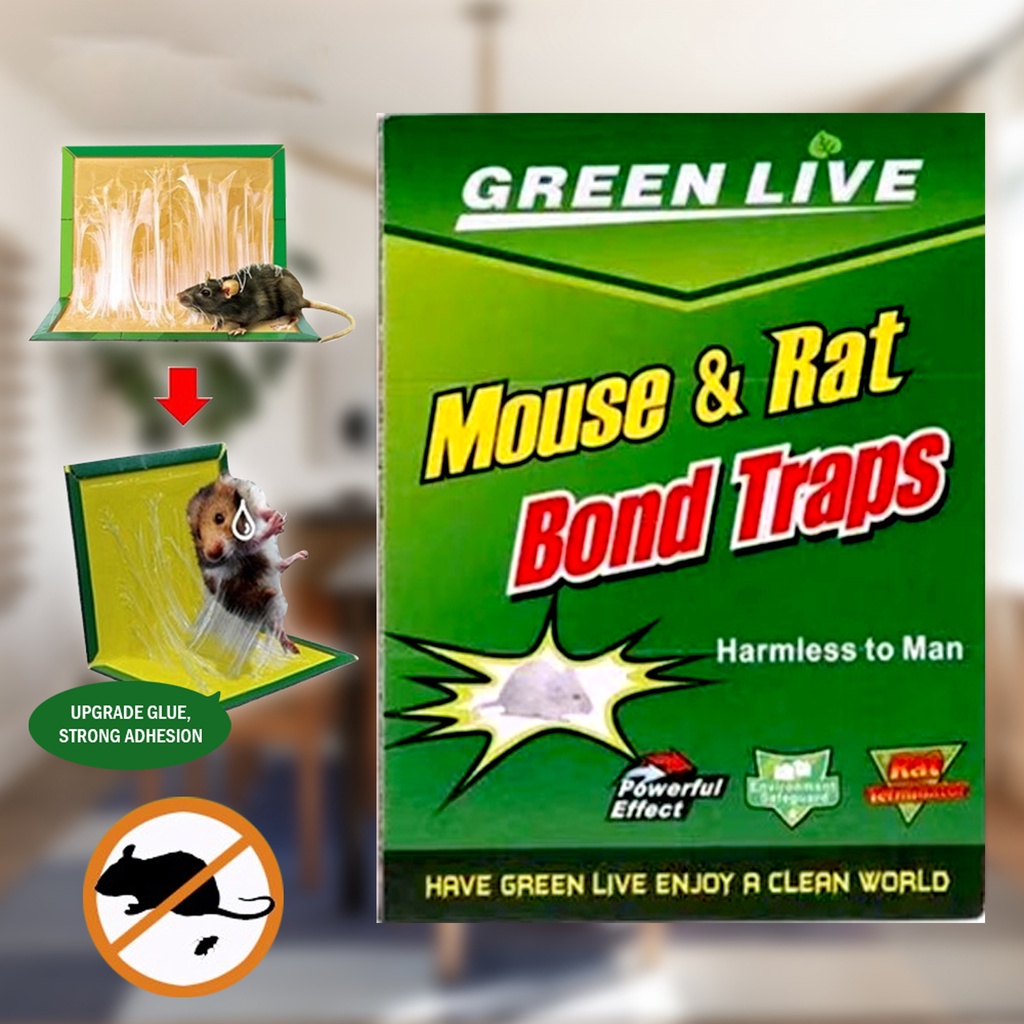 UH Nontoxic Mouse and Rats Glue Traps Rat Trap Control Killer Pest