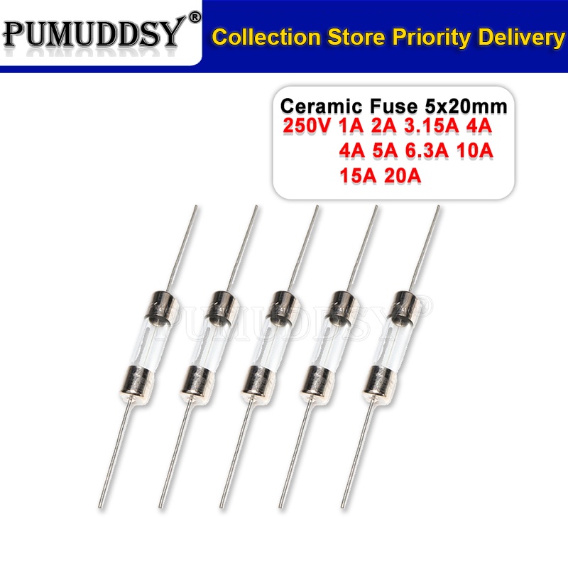 50PCS 5*20mm Ceramic Fuse Slow Blow Tube Fuse With A Pin 5x20mm 250V ...