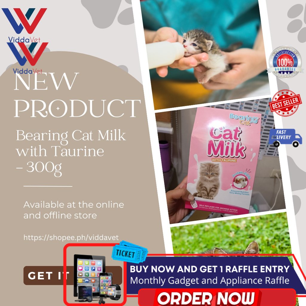 1BOX BEARING CAT Milk for growing cats, kittens / premium and improved