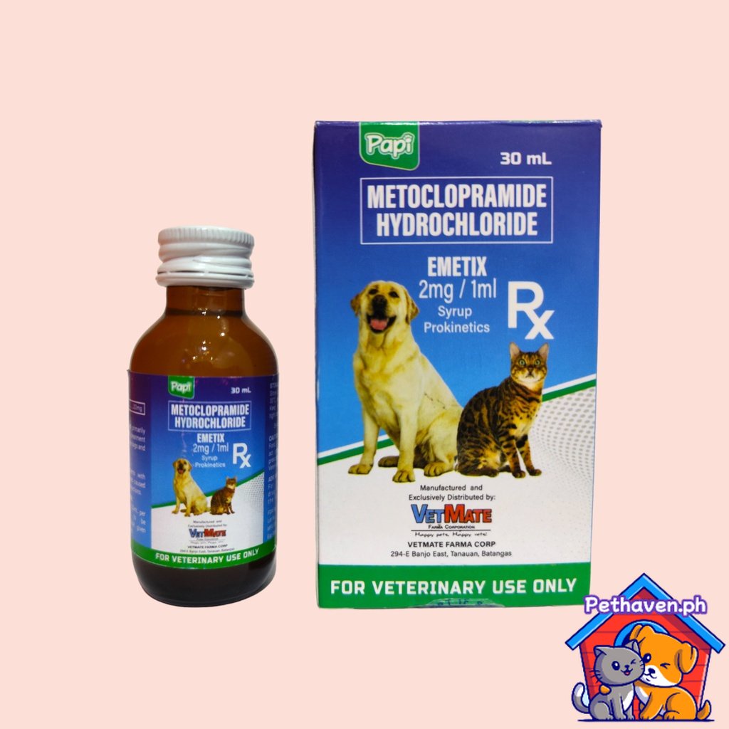 Dog vomiting medicine hotsell