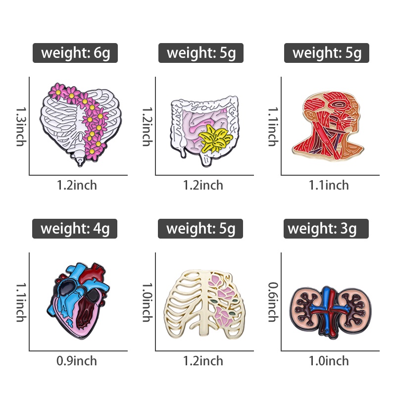 Medical Organ Enamel Pins Liver and Kidney Heart Breast Brooch Anatomy ...