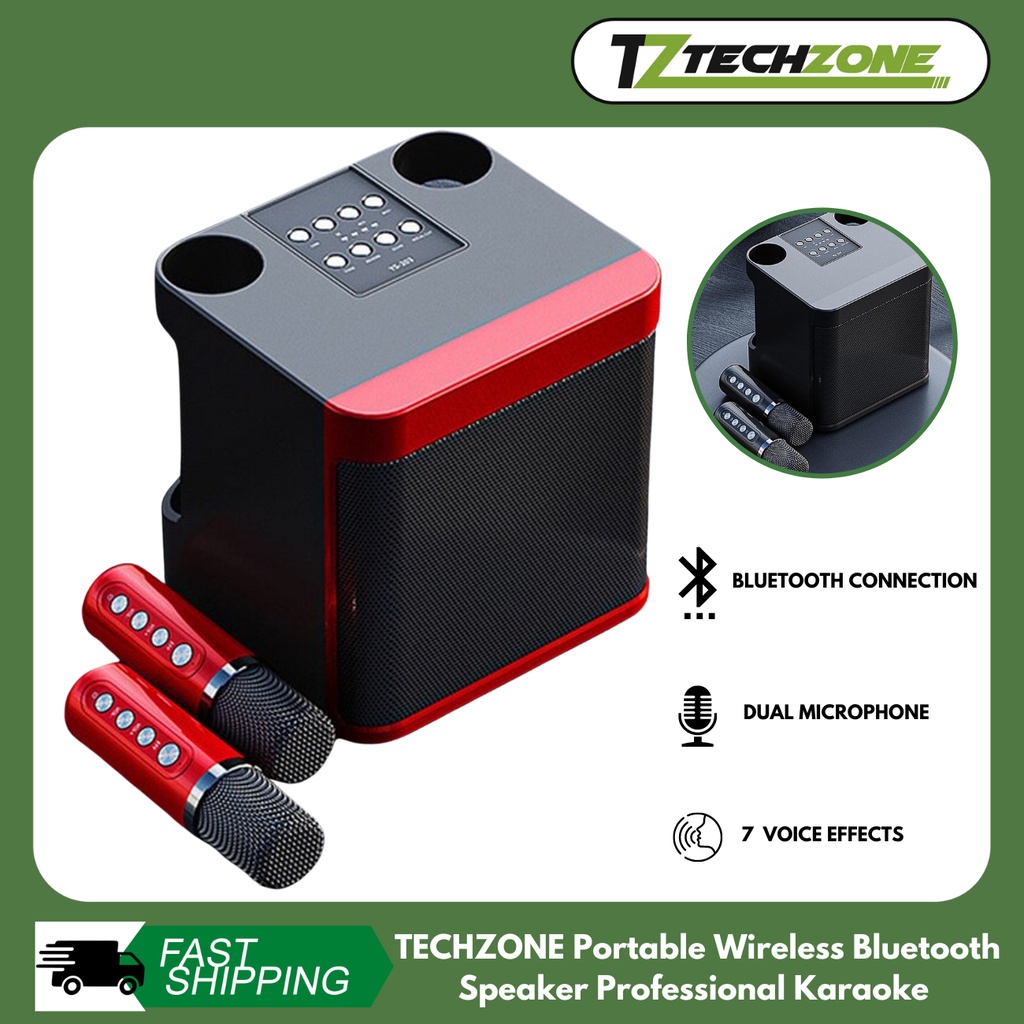 TECHZONE Wireless Bluetooth Speaker Professional Karaoke Dual