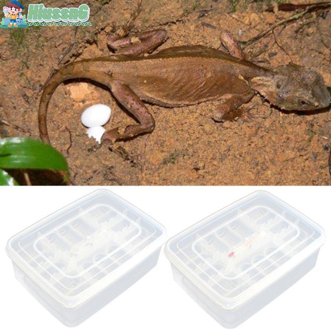 Hus Grid Reptile Egg Incubator Box Eggs Tray Snake Lizard Chameleon