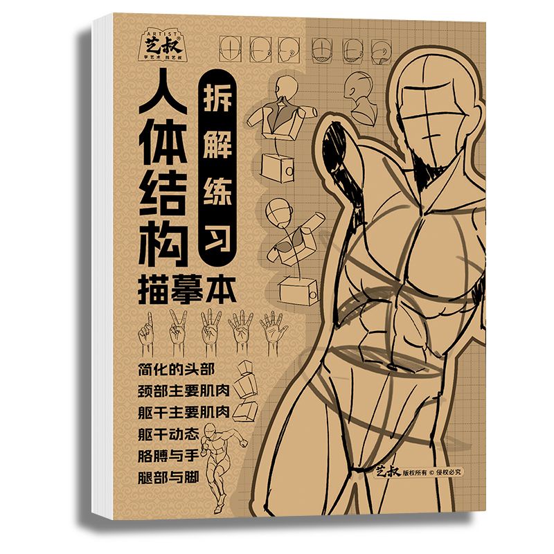 JH spot human body structure description this cartoon sketch character ...