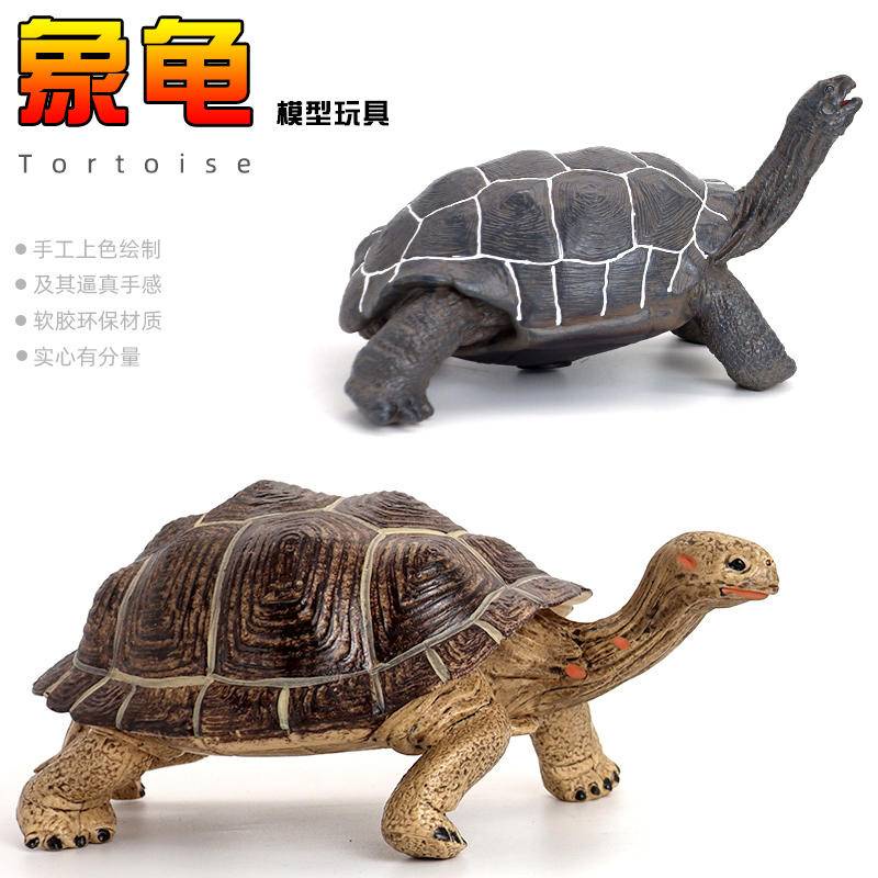 Simulation Solid Turtle Three-Dimensional Model Toy Elephant Tortoise ...