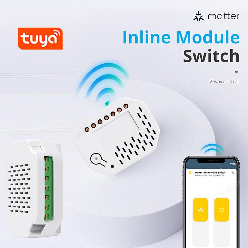 HOT For Matter Tuya WiFi Smart Switch 2Gang Relay Switch Module Smart ...