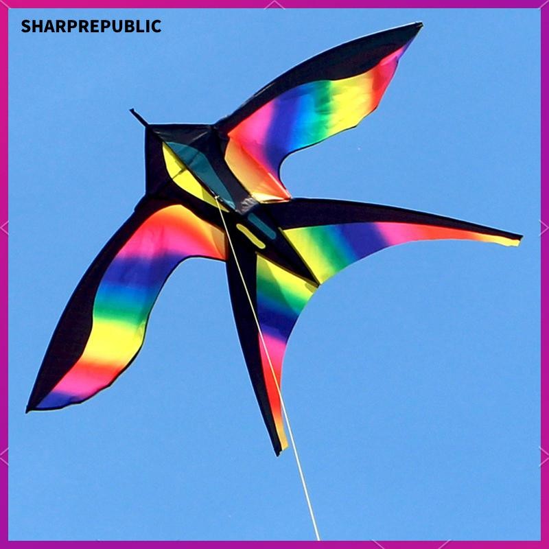 [Sharprepublic] Colorful Fly Kite Windsock with String 175x70cm for ...