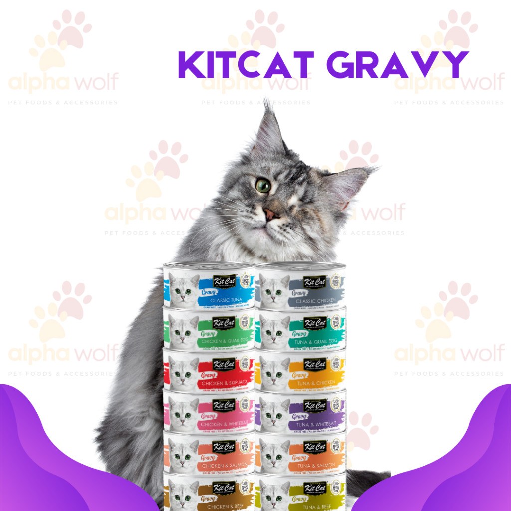 Kit Cat Gravy Wet Cat Food 70g | Shopee Philippines