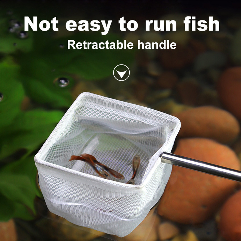 PH 3D Stereo Deepens Aquarium Fish Net Shrimp Net Aquarium Retractable ...