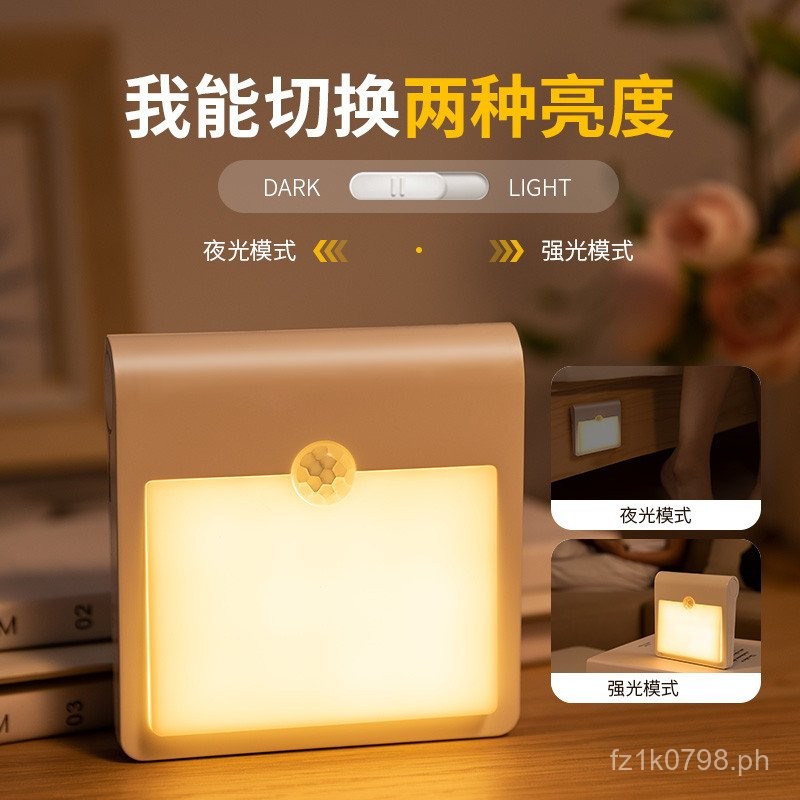 Automatic Entryway Motion Sensor Light for Bathroom Corridor, No Plug ...