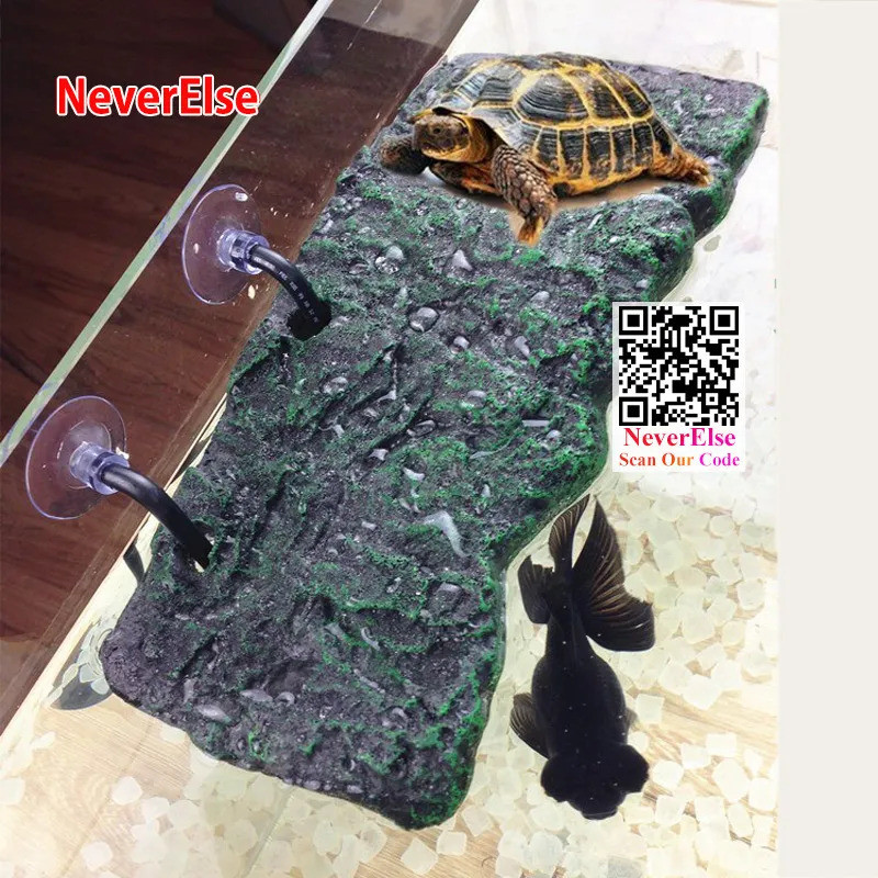 Turtles Basking Platform, Moss Climb Island Reptiles Tortoises Sun Back ...