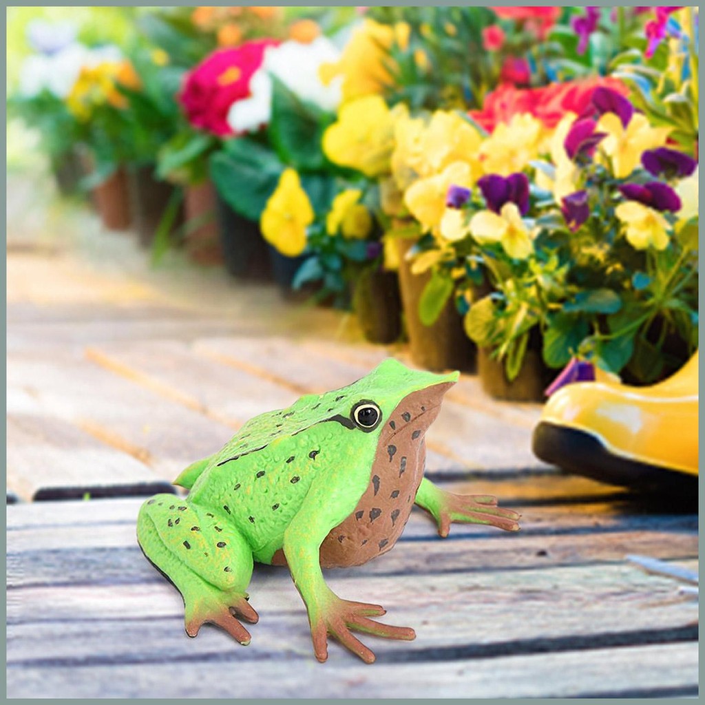 Realistic Frog Amphibian Model Bath Toy Realistic Collectible ...