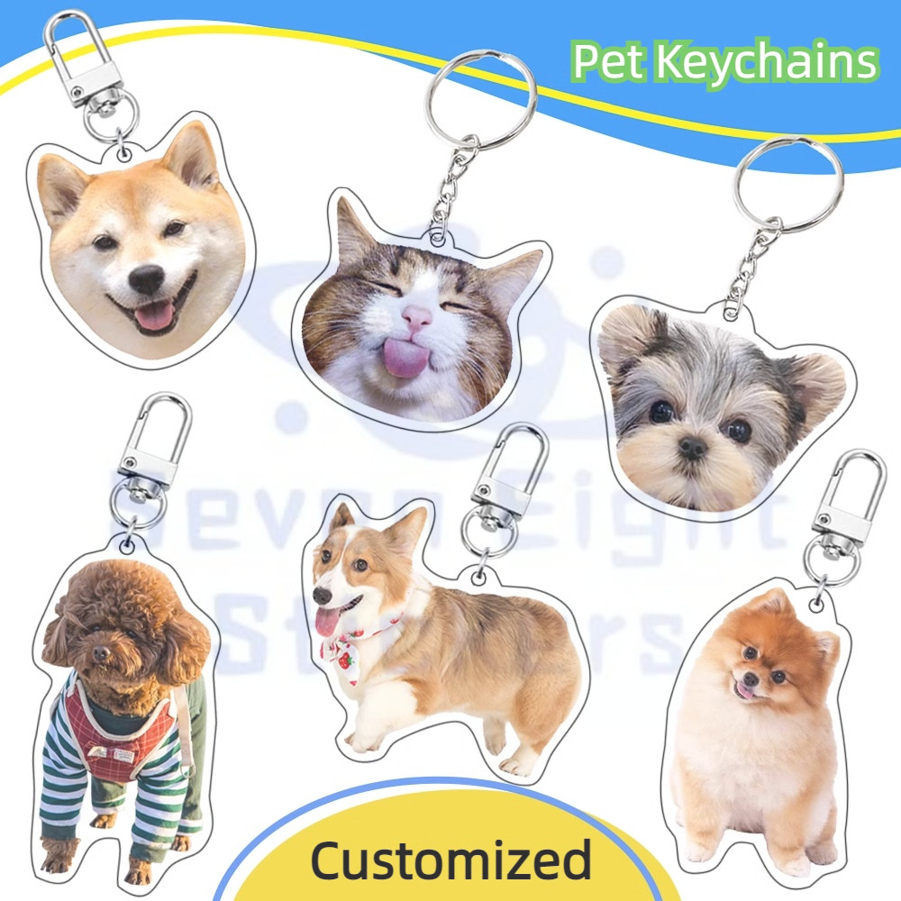 Acrylic personalized custom pet keychain | Cat and dog photo ...