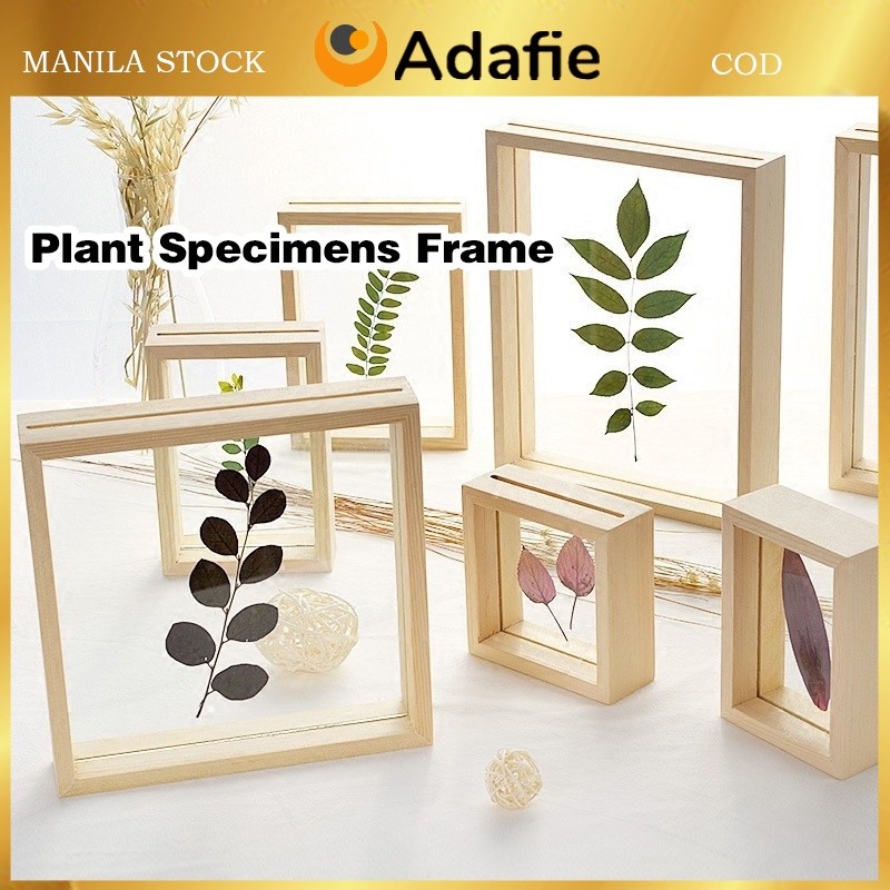 Plant Specimen Frame Wooden Specimen Frame | Shopee Philippines