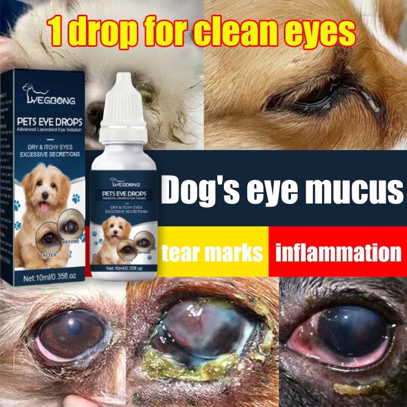 Pet Eye Drops for Cat Dogs Eye Infection Opthalmic Eye Drops Remove ...