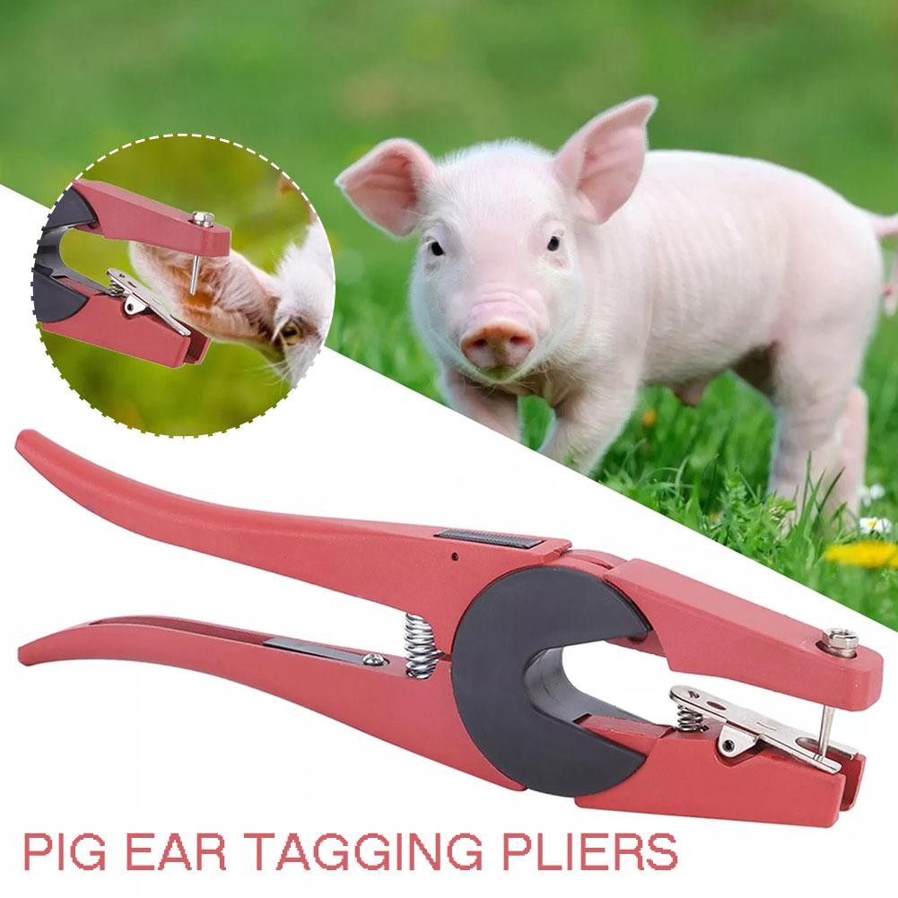 Poultry Products: Pig Ear Tag Pliers, Pig Ear Twitch Brand Ear ...