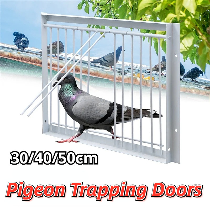 30/40/50cm Trap Door For Pigeon Loft Racing Pigoen Cage Door Dove ...
