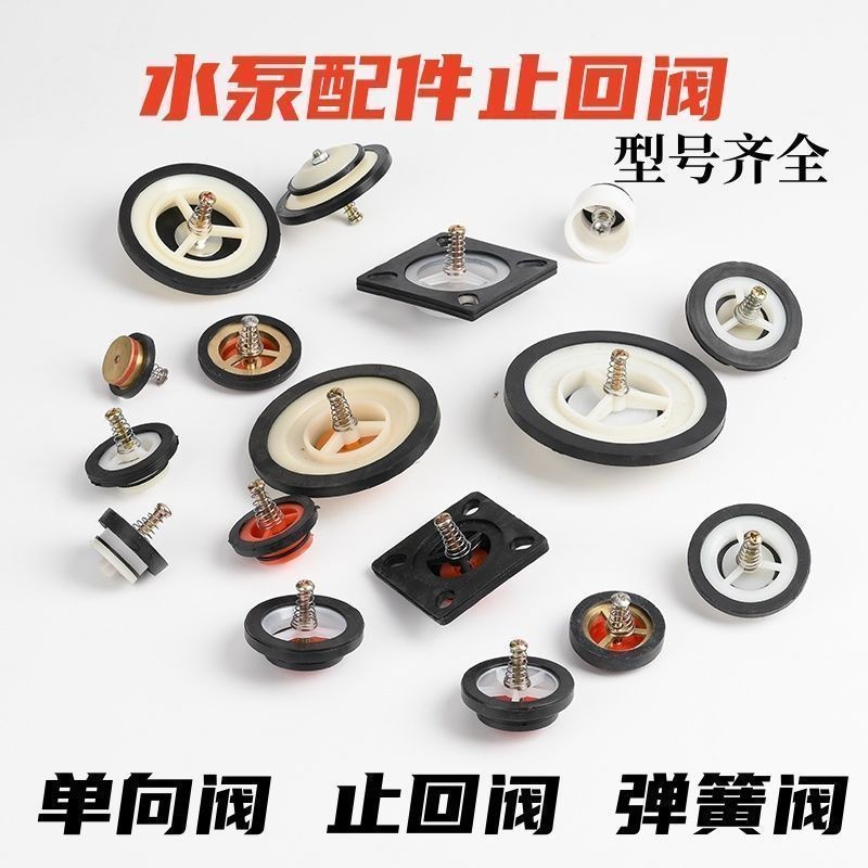 Self-Priming Pump Check Valve Pump Accessories Spring Check Valve Back ...