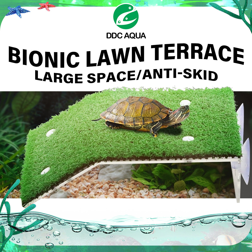Turtle Climbing Ladder Dodge Climbing Platform Drying Platform for Fish ...