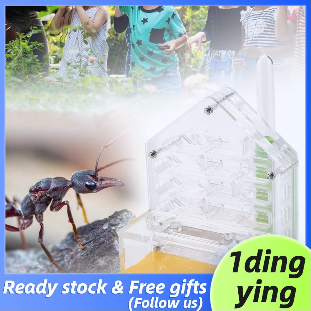 1dingying.ph Ant Nest Plastic Acrylic Farm Villa House Tower Display ...