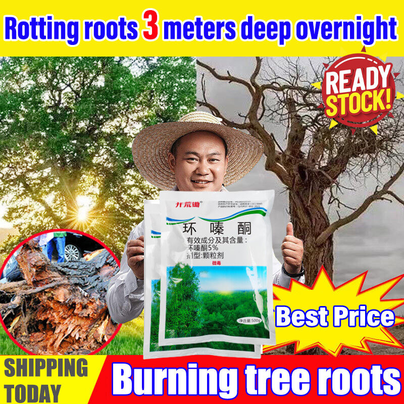 Rotting roots 10 meters deep Tree killer 1000g Racun pokok kayu besar ...