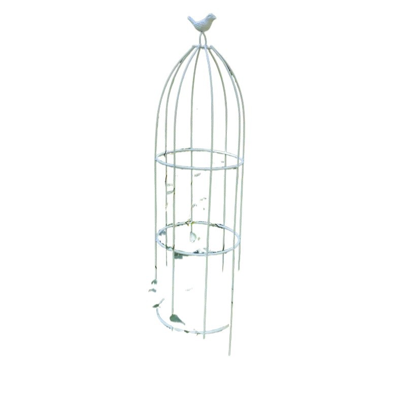 Climbing Bracket Cage Rose Rose Plant Wrought Iron Flower Pot Climbing ...