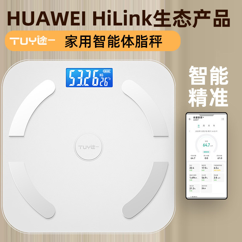 Electronic Body Weight Scale Intelligent Precision Weightometer Home ...