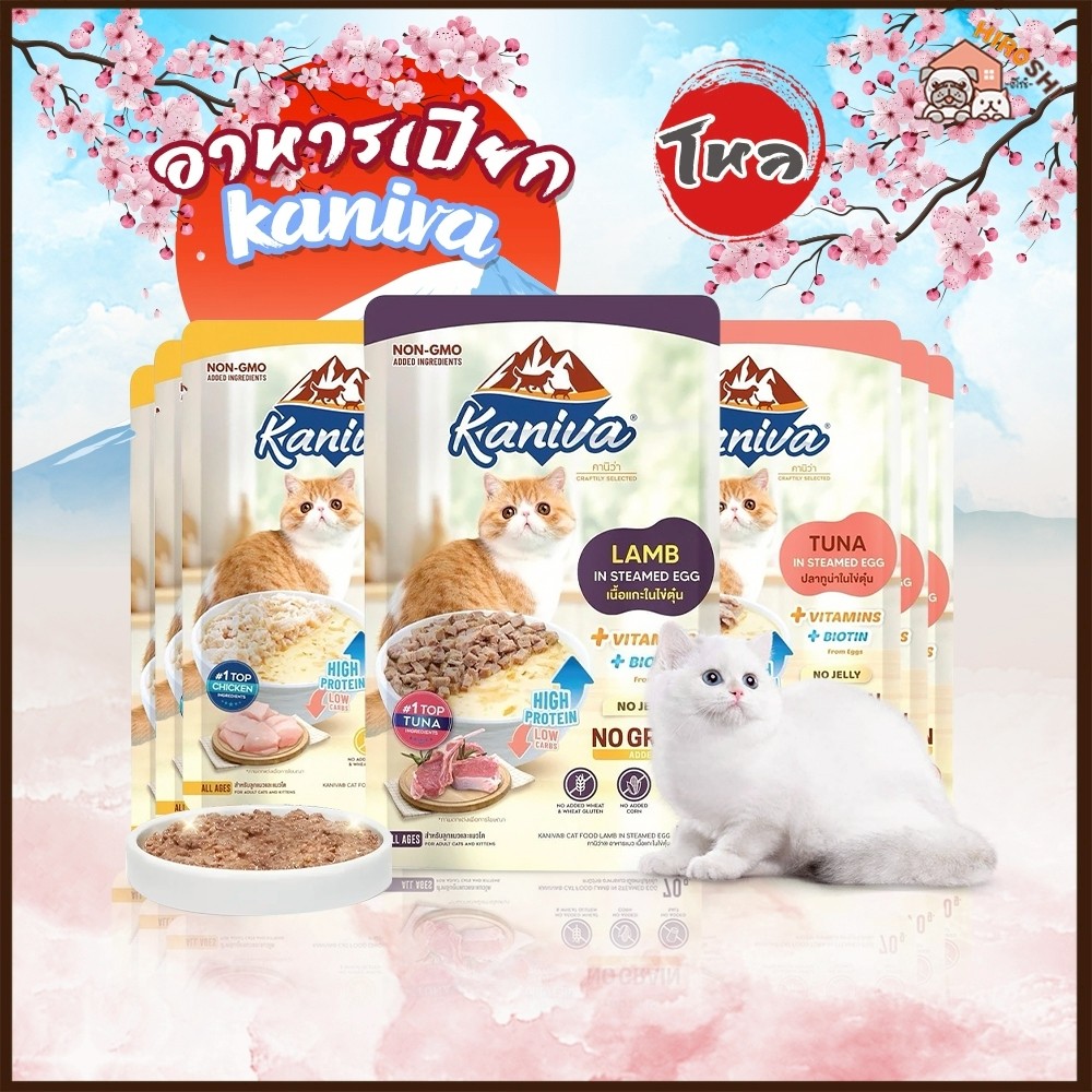 Kaniva Steam Egg Series Wet Cat Food In Steamed Eggs Good Health Size ...