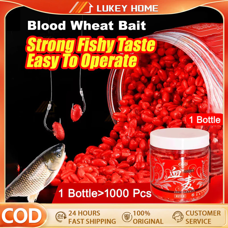Earthworm Red Baits Tilapia Bait Fish Attractant Red Worm Solid Fish ...