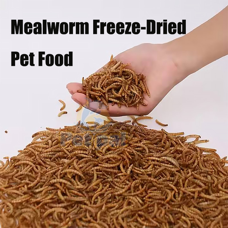 Mealworm Freeze-Dried Pet Food for Fish, Birds, Hamster, Reptiles (20g ...