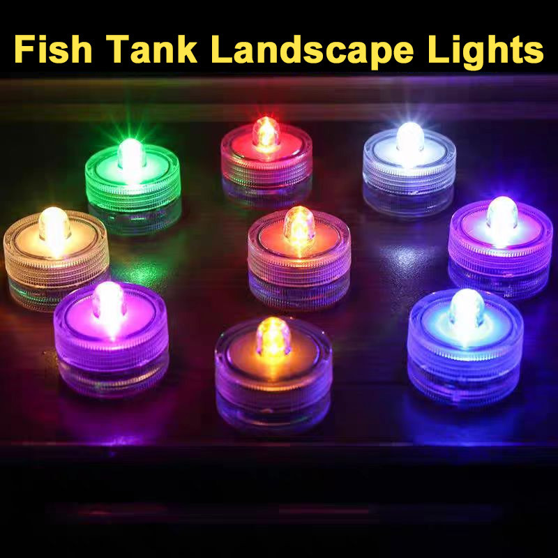 Colorful Small Fish Tank Small Creative Ecological Tank Micro Landscape ...