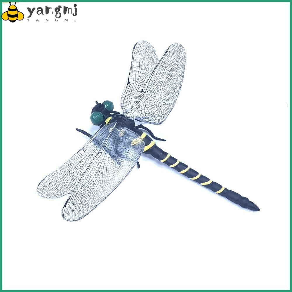 YANGMJ Simulation Dragonfly, Wing Length 12CM Black Insect Model ...