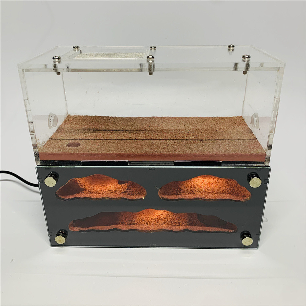 Spot goods reptile box ant nest ant house pet gate [Ant Castle]Pet Ant ...